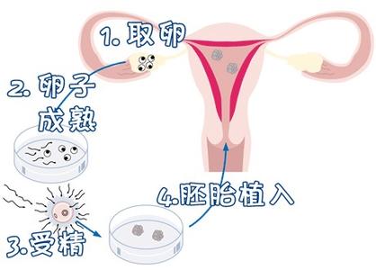 清砚堂中医馆